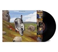 English Teacher – This Could Be Texas – Vinyle LP – Island