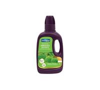 Engrais Arbustes Buis Bambous - 400 ml