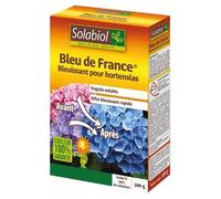 Bleu de France - 500 g