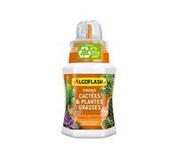 Algoflash Engrais pour cactées et plantes grasses ALGOFLASH 250 ml UAB