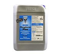 Engrais / Fertilisant pour la Floraison de HESI Phosphore Plus (5L)