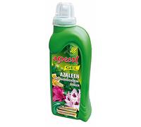 Engrais liquide concentré pour rhododendrons azaleendünger 150 l-nPK 8-3-7 engrais