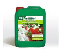 BSI - Engrais pour buis - Minéral liquide, soluble dans l'eau, avec oligo-éléments - 5 L translucide
