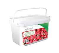 Engrais minéral pour fraises et fraises des bois Engrais pour fruits Boîte de 3 kg