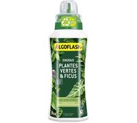 Algoflash Engrais pour plantes vertes et ficus 500 ml UAB
