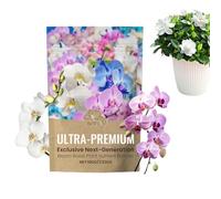 Engrais pour d'Intérieur,Poudre d'Enracinement - Stimulateur Racinaire Améliorateur de Sol Booster Floraison pour Fleurs Légumes Croissance Vigoureuse Usage Extérieur Jardin Intérieur