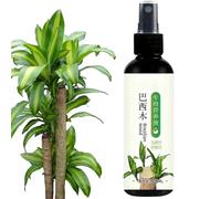 Engrais Pour Plants En Bois Brésilien, 100ML Solution Nutritive Hydroponique En Bois Brésilien, Engrais Pour Plants D'intérieur, Engrais Liquide Lucky Bamboo, Engrais Pour En Bois Brésilien