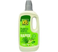 Engrais Rapide Plantes Vertes Et Plantes D'intérieur 1L