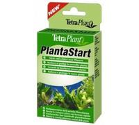 Tetra - 146839 - PlantaStart