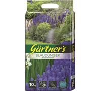 Engrais Universel Pour Plantes, 12+6+15, 10 Kg