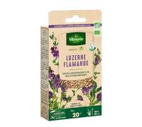 Vilmorin – Engrais vert Luzerne flamande BIO – Petit modèle, sachet 60 g