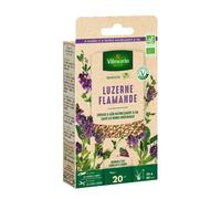 Engrais vert Luzerne flamande - BIO - Petit Modèle