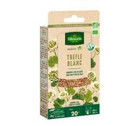 Graines de Trefle Blanc BIO , boite de 60 grs-