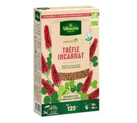 Engrais vert trèfle incarnat - BIO - Grand modèle