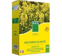 Engrais Verts - BHS - Moutarde Blanche 500g | 100 m² | Améliore et désinfecte les sols pour une meilleure fertilité.