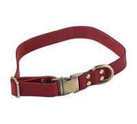Engraved Leather Dog Collar | Soft Padded Collar for Small/Medium/Large Dogs | Breathable Pet Collar with Nameplate Buckle | Classic & Stylish Design (M)