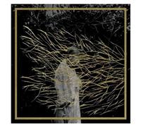 Engravings 2025 Edition - Cd Album