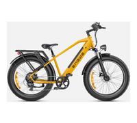 ENGWE E26 Velo Electrique