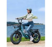 Engwe-L20 Boost-vélo électrique pliant pour adulte 20 ""-moteur 250W 48v13ah-autonomie 126km-vitesse maximale32km-LED-Vert