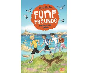 Enid Blyton Gerda Raidt El Fünf Freunde meistern jede Gefahr (Einzelbän (Relié)