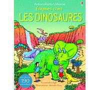 Enigmes chez les dinosaures - Autocollants Usborne