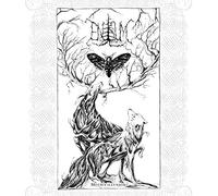 Enisum - Moth's illusion