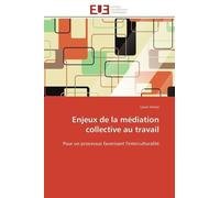 Enjeux De La Médiation Collective Au Travail
