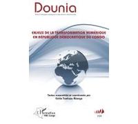 Enjeux De La Transformation Numérique En République Démocratique Du Congo