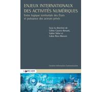 Enjeux Internationaux Des Activités Numériques - Entre Logique Territoriale Des Etats Et Puissance Des Acteurs Privés