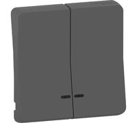 Enjoliveur 2 demi touche - IP55 - IK08 - Gris - Mureva Styl - MUR34205 - Schneider