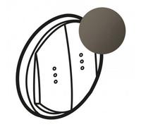 Enjoliveur Céliane pour double interrupteur , va-et-vient ou poussoir à voyant - finition graphite - Legrand