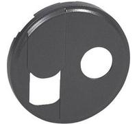Celiane graphite enjoliveur pour prise téléphone rj45 et tv simple