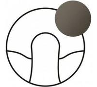 Legrand Enjoliveur Céliane pour sortie de câble 067941 Finition Graphite Lot de 10