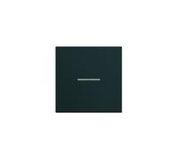 Enjoliveur interrupteur à voyant gallery 2 modules night (WXD001N)