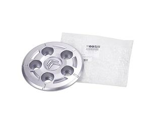 Enjoliveur original 16 pouces argent 1374675080