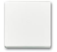 Enjoliveur Pour Interrupteur Va-et-vient Future Linear