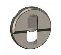 Enjoliveur pour prise simple RJ45 Céliane - titane LEGRAND