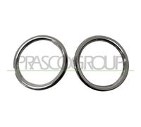 PRASCO Cache (phares antibrouillard) RN3291240