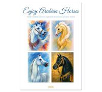 Enjoy Arabian Horses (Wall Calendar 2026 DIN A4 portrait), CALVENDO 12 Month Wall Calendar: Pride, grace, fire - the calendar for lovers of arabian horses