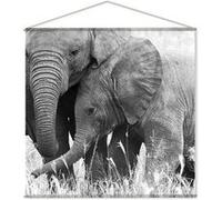 Enjoy Home - Toile murale imprimée éléphant - 150 x 150 cm - Noir et blanc - Panorama Blanc