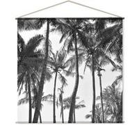 Enjoy Home - Toile murale imprimée palmier - 150 x 150 cm - Noir et blanc - Panorama Blanc G