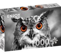 ENJOY Puzzle Chouette curieuse 1000 pièces