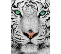 ENJOY Puzzle du tigre blanc de Sibérie 1000 pièces