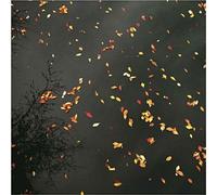 Enjoy The Silence Vol.1/Mule Electronic