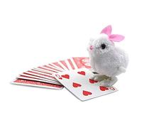 Enjoyer Lapin à la Recherche de Cartes Prédiction Gros Plan Illusion Gimmick Accessoires des Tours de Magie Magiciens Comédie