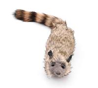 Enjoyer The Rocky Raccoon Magic Robbie Tours de Magie Scène Illusions Gimmick Magicien Accessoires Accessoires Drôle Printemps Animal Jouet