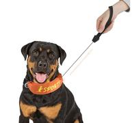 Enjoying Collier rétractable pour chien - Collier tout-en-un pour chien - Laisse rétractable intégrée, collier réglable pour chiens de taille moyenne et grande - Orange