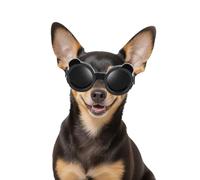 Enjoying Lunettes de soleil pour chien de petite race avec sangles réglables, protection anti-UV pour chihuahua, coupe-vent, anti-poussière, anti-buée, respirantes, noir panda