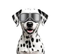 Enjoying Lunettes de soleil pour chien de taille moyenne et grande - Protection UV - Coupe-vent - Anti-poussière - Anti-neige - Monture souple - Sangles élastiques - Noir