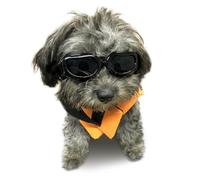 Enjoying Lunettes Petit Chien Protection Contre Les UV Lunettes Coupe-Vent Anti-buée Lunettes pour Animaux de Compagnie pour Chien D'environ Plus de 2,5 kg, Noir